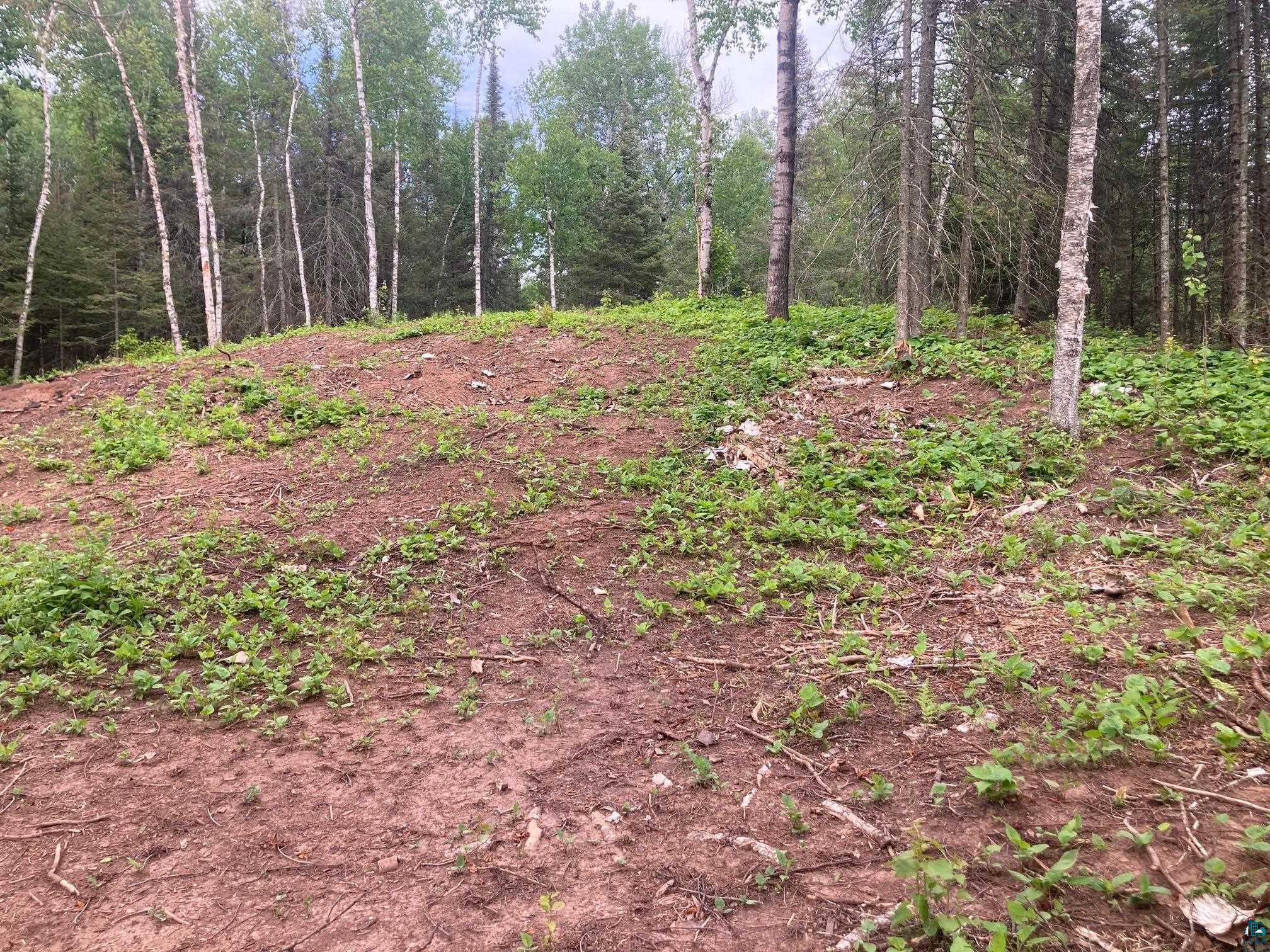 584 X Howard Gnesen Road Duluth, MN 55803 - Photo 8 of 11 View of mother earth's splendor