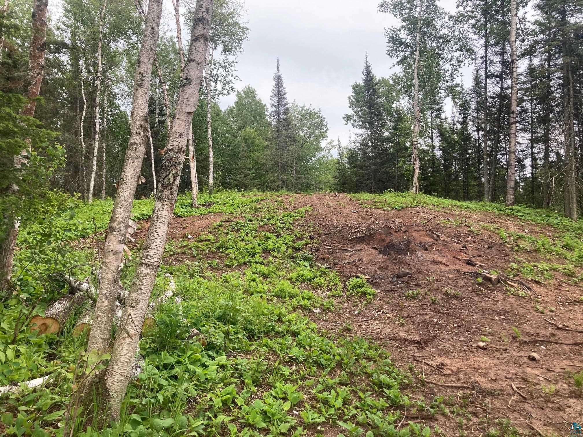 584 X Howard Gnesen Road Duluth, MN 55803 - Photo 9 of 11 View of local wilderness