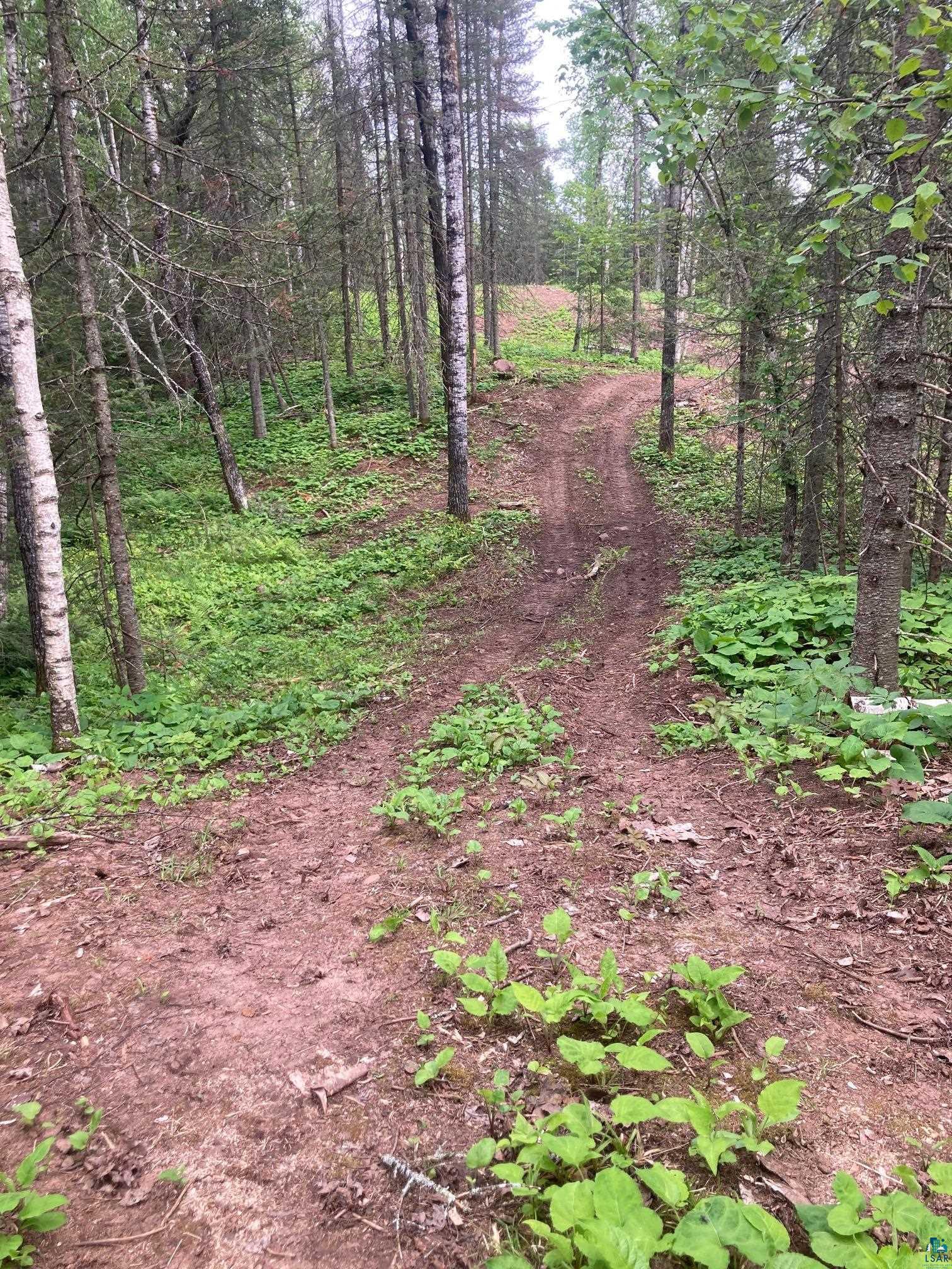 584 X Howard Gnesen Road Duluth, MN 55803 - Photo 10 of 11 View of local wilderness