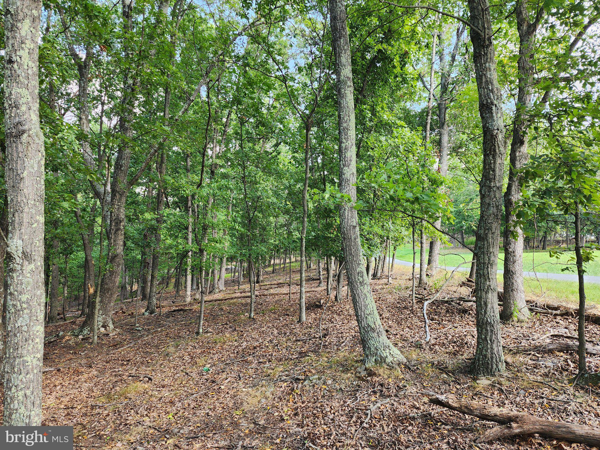 2.53 Acres Timber Ridge Road Berkeley Springs, WV 25411 - Photo 1 of 13 Gallery Image 1