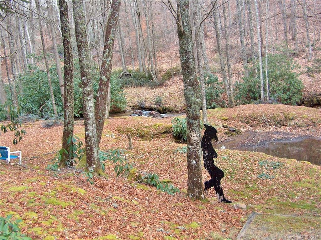 606 Mash Stomp Road Maggie Valley, NC 28751 - Photo 2 of 24 Gallery Image 2
