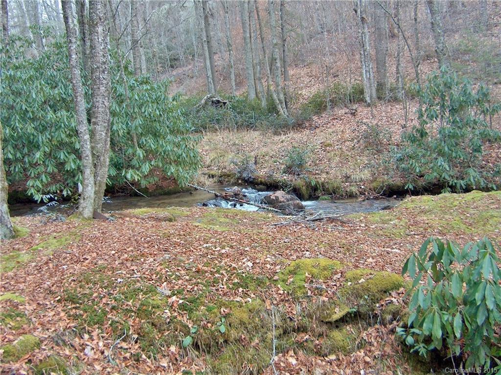606 Mash Stomp Road Maggie Valley, NC 28751 - Photo 3 of 24 Gallery Image 3