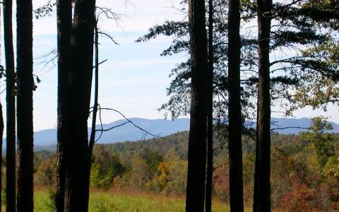 14 Cabin Country Blue Ridge, GA 30513 - Photo 1 of 1 a view of city from the balcony