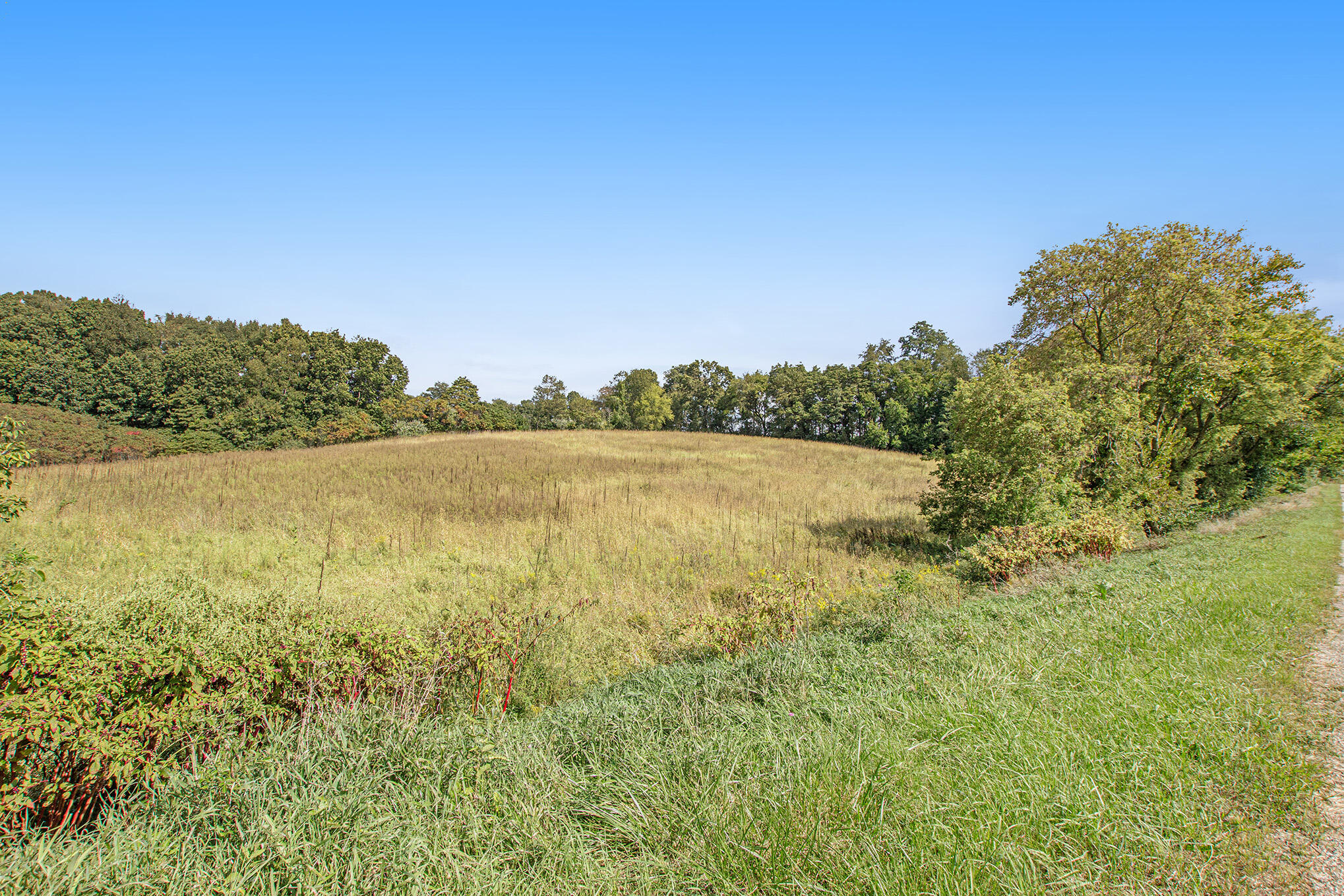 11072 Dutch Settlement Road Marcellus, MI 49067 - Photo 1 of 4 IMG_0659
