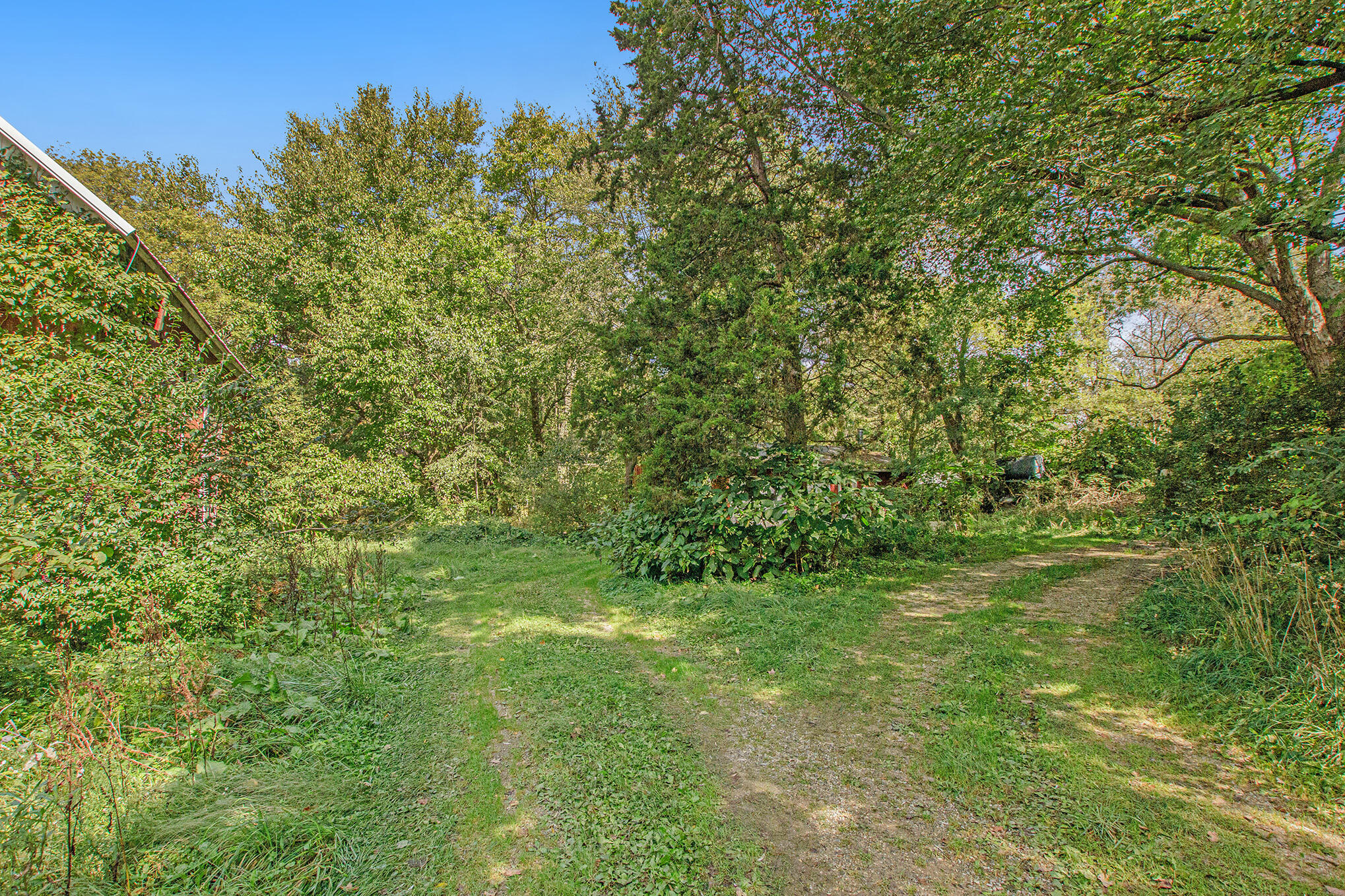 11072 Dutch Settlement Road Marcellus, MI 49067 - Photo 4 of 4 IMG_0647