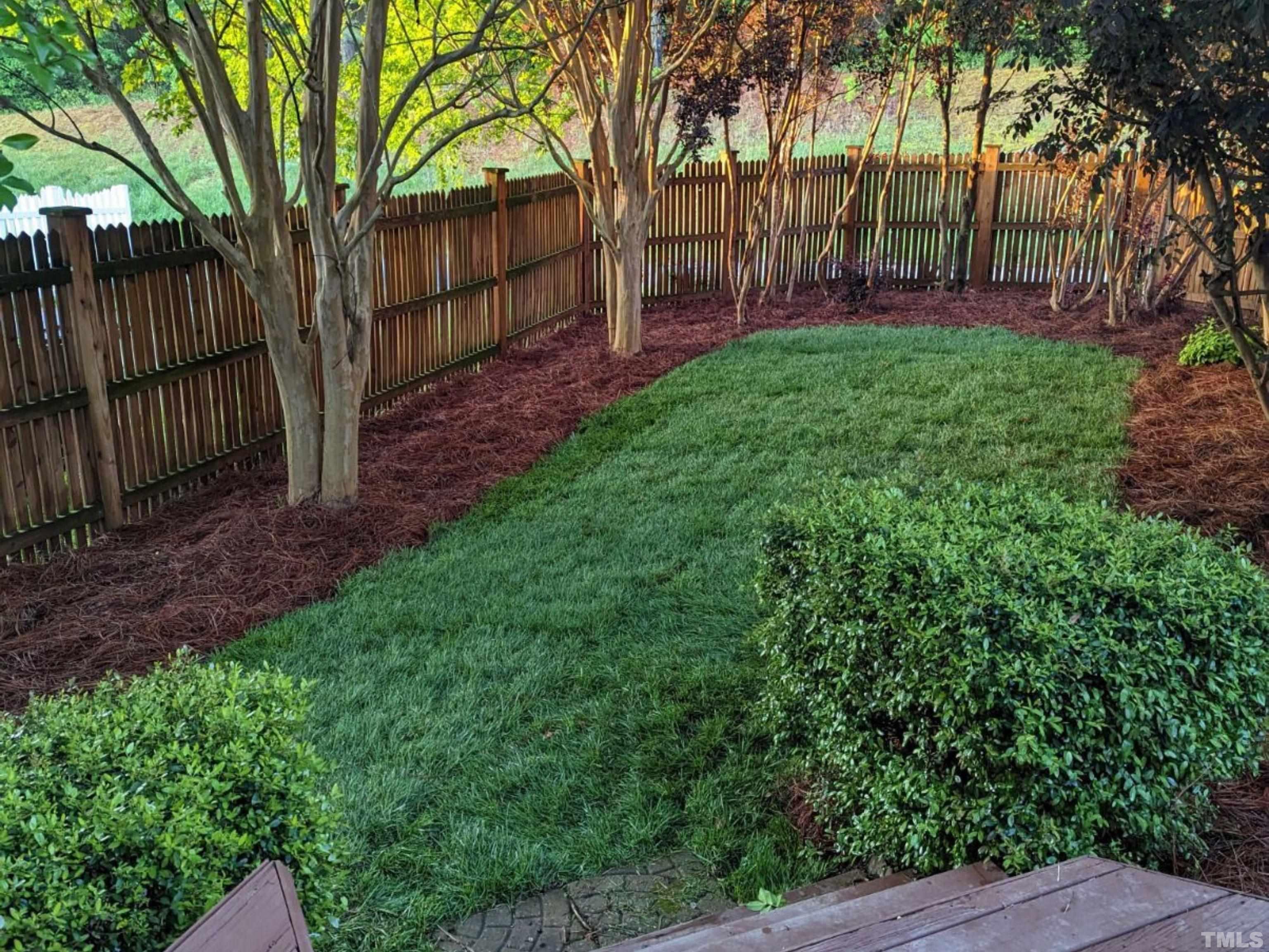 145 Kingsport Road Holly Springs, NC 27540 - Photo 29 of 42 a view of backyard with tree