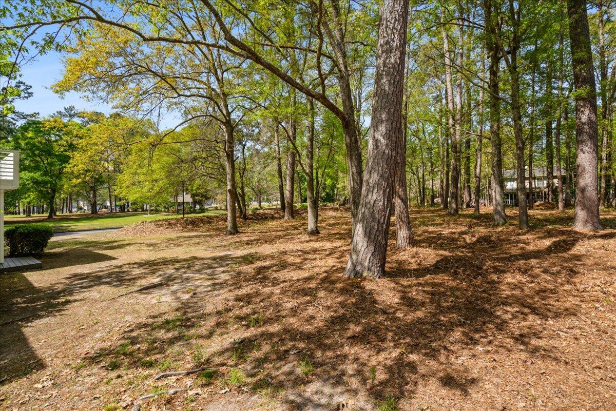 7811 Racquet Road North Charleston, SC 29418 - Photo 31 of 31 Yard