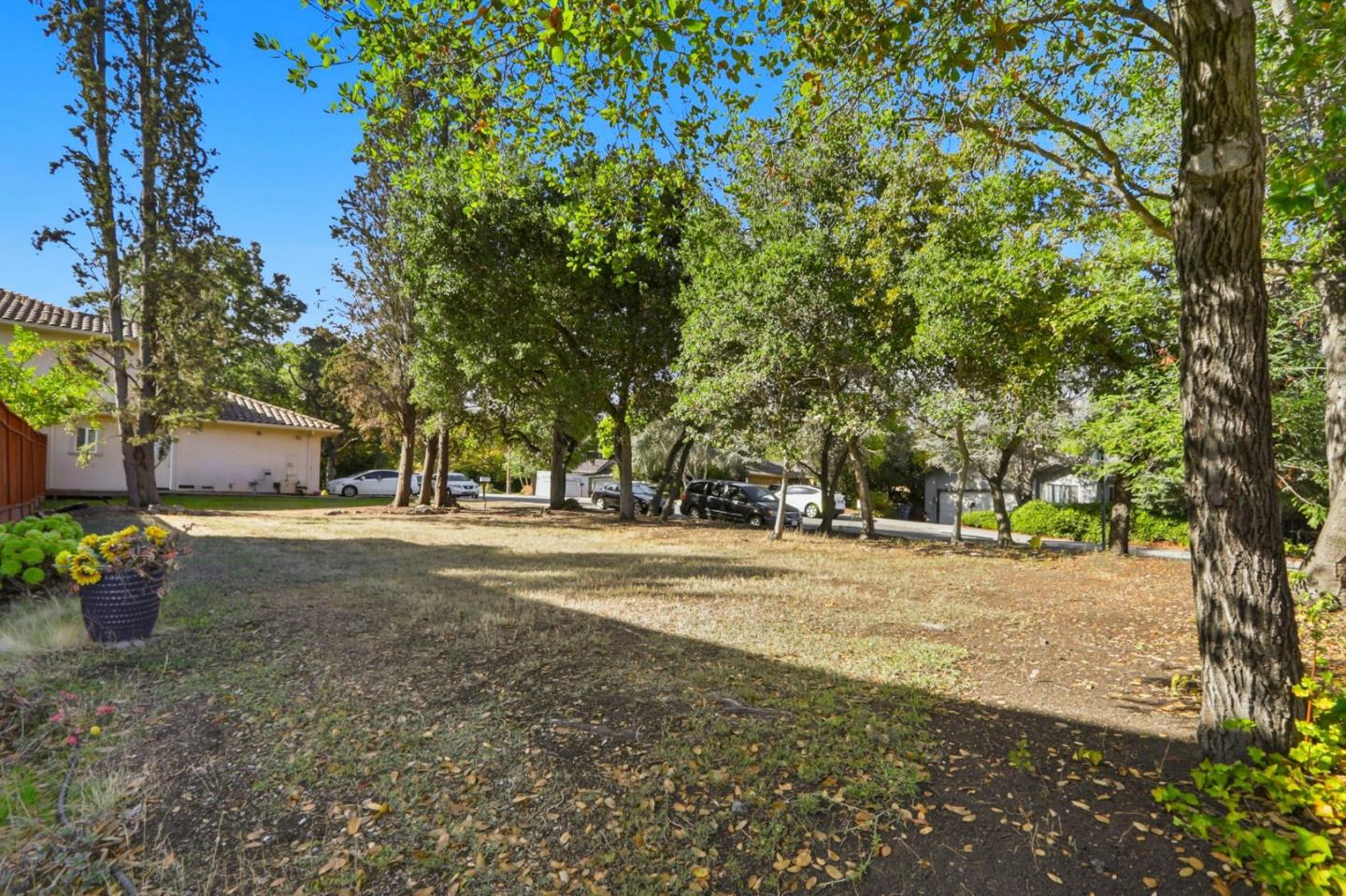 0 Southwest Sw Corner Menlo Park, CA 94025 - Photo 4 of 13 a view of a yard with a trees