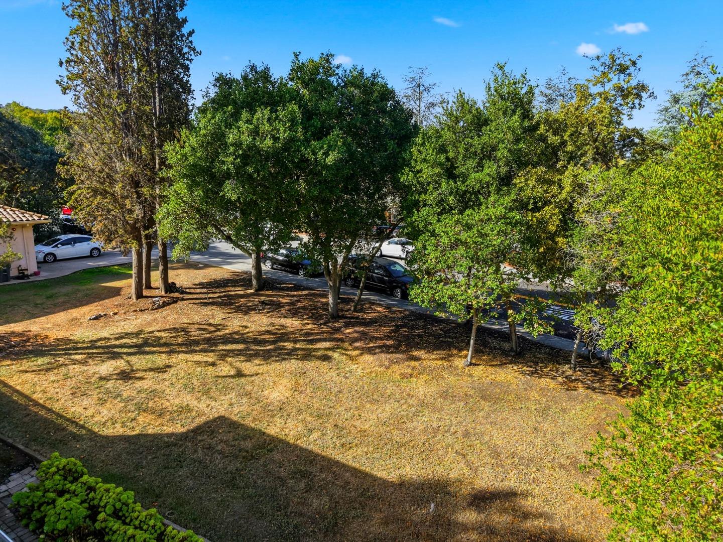 0 Southwest Sw Corner Menlo Park, CA 94025 - Photo 8 of 13 a view of backyard with tree