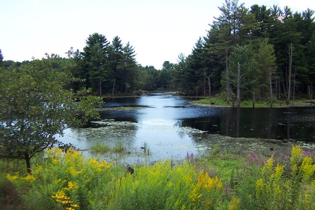 24 Highland Road, Unit 24 Westford, MA 01886 - Photo 38 of 42