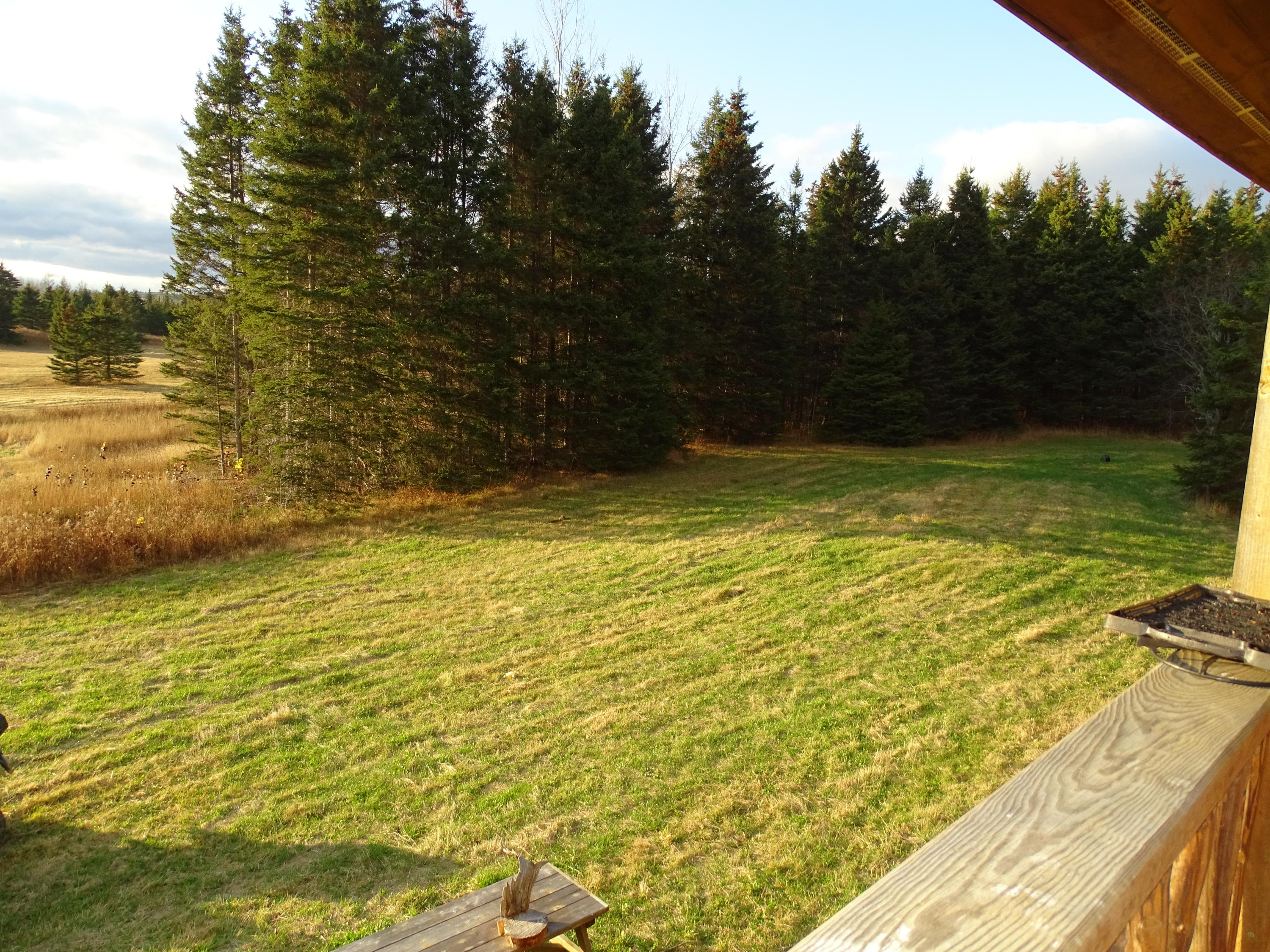 361 Easton Road Presque Isle, ME 04769 - Photo 3 of 18 Yard