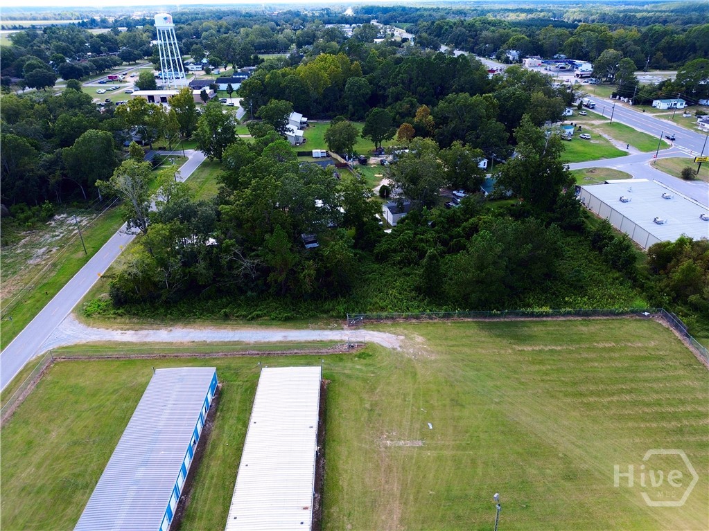 0 Turnpike Road Claxton, GA 30417 - Photo 6 of 11 Gallery Image 6