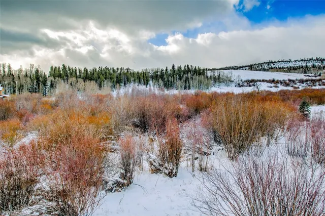 $1,599,000 | 383 West Coyote Drive, Silverthorne, CO 80498