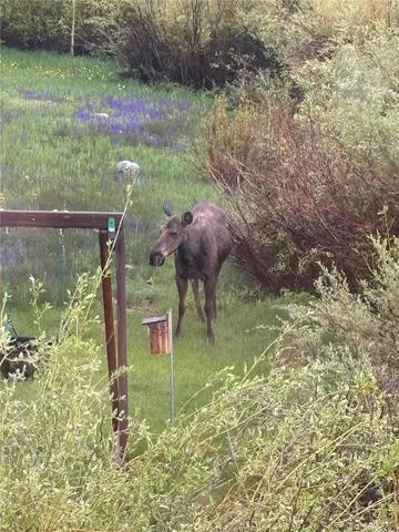 $1,599,000 | 383 West Coyote Drive, Silverthorne, CO 80498