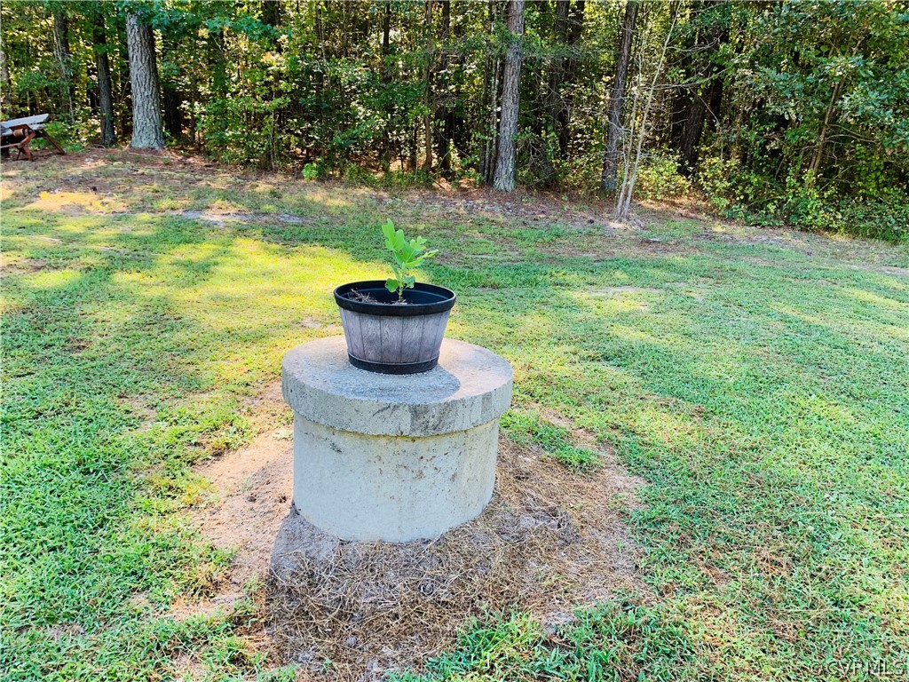 10149 Courthouse Road Dinwiddie, VA 23841 - Photo 18 of 49 Gallery Image 18