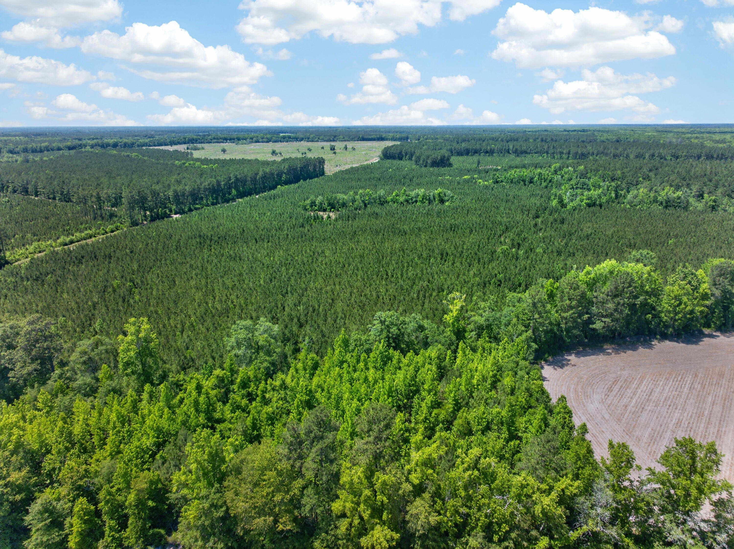 5120 North Brewington Road, Unit 10 Alcolu, SC 29001 - Photo 39 of 40 DJI_20260521133438_0061_D