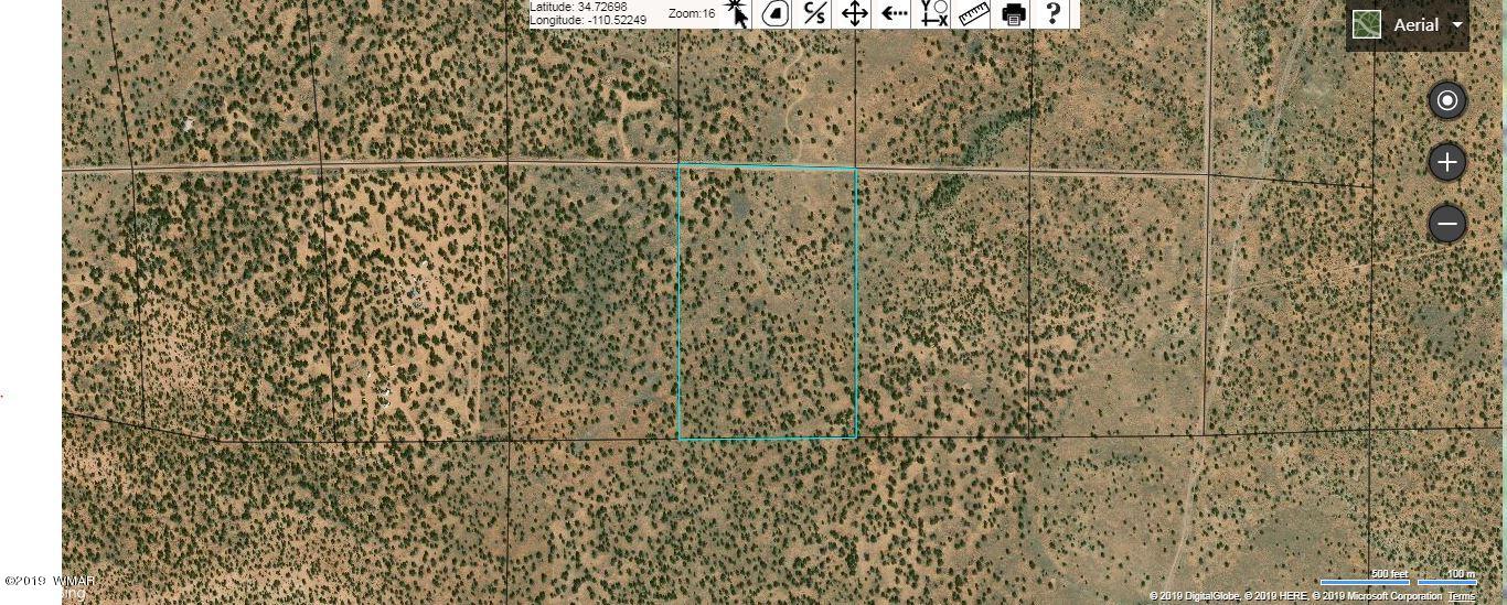Lot 252 Chevelon Canyon Ranch, Unit 2 Heber, AZ 85928 - Photo 13 of 14