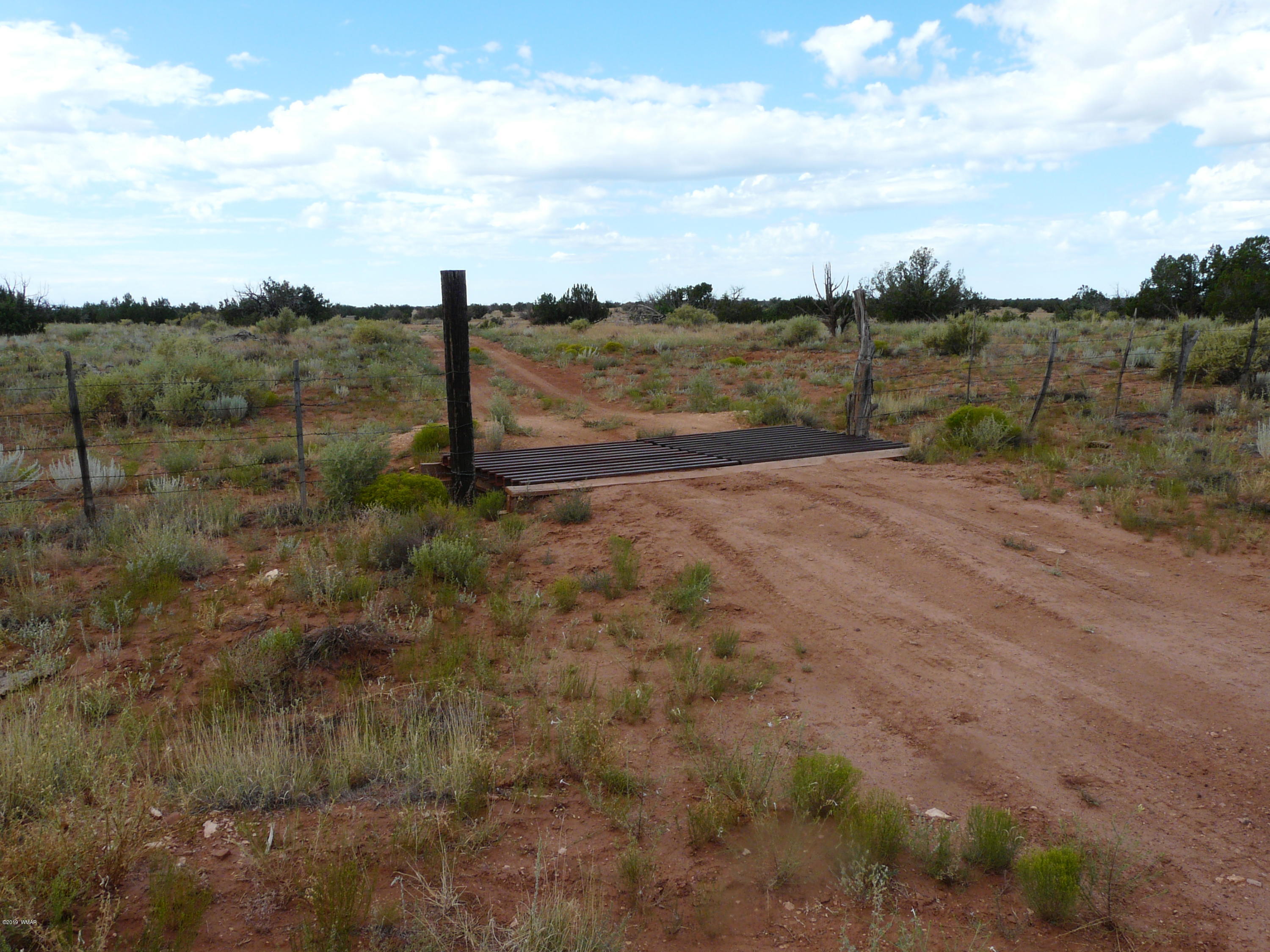 Lot 252 Chevelon Canyon Ranch, Unit 2 Heber, AZ 85928 - Photo 2 of 14