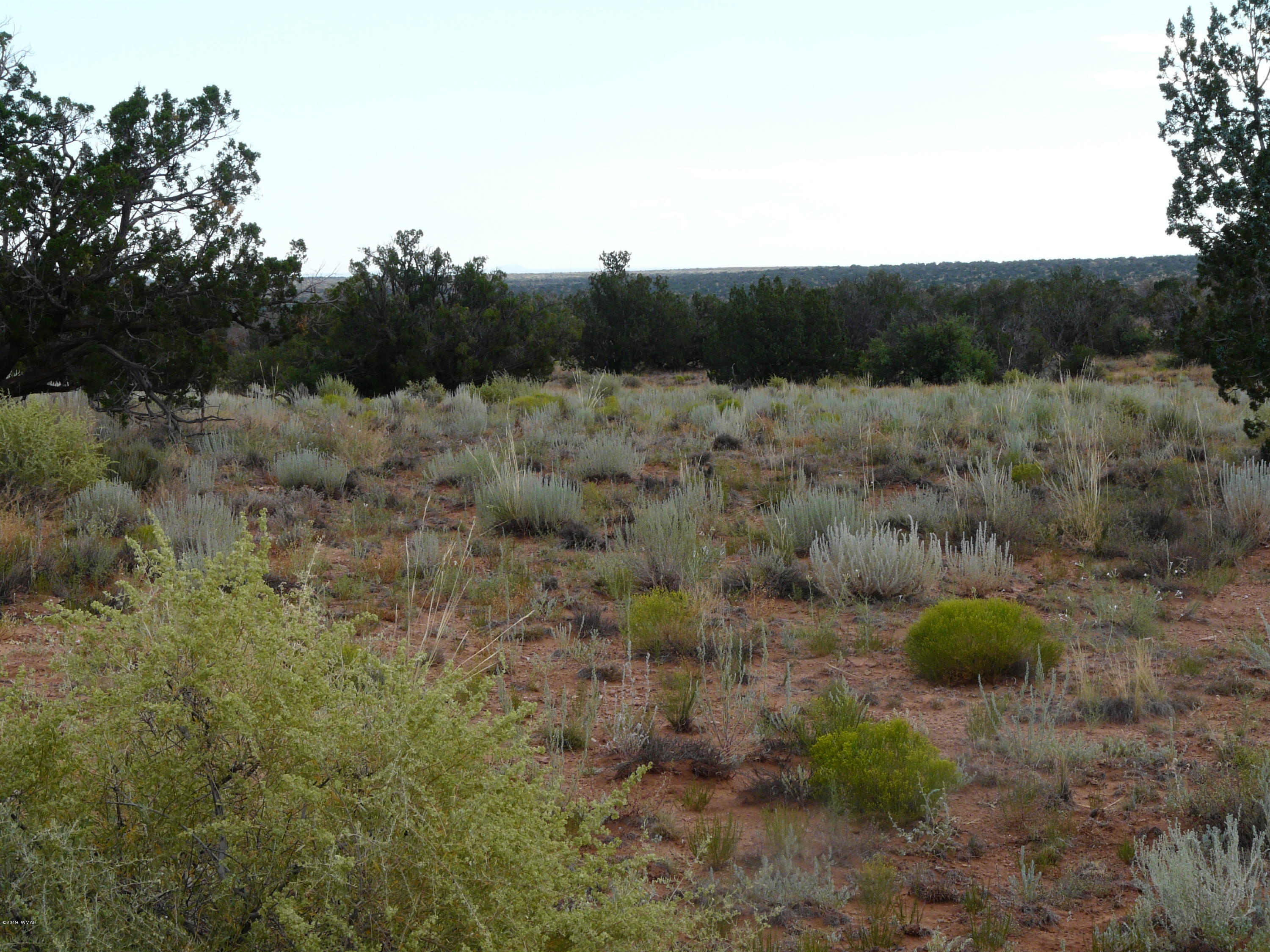 Lot 252 Chevelon Canyon Ranch, Unit 2 Heber, AZ 85928 - Photo 4 of 14