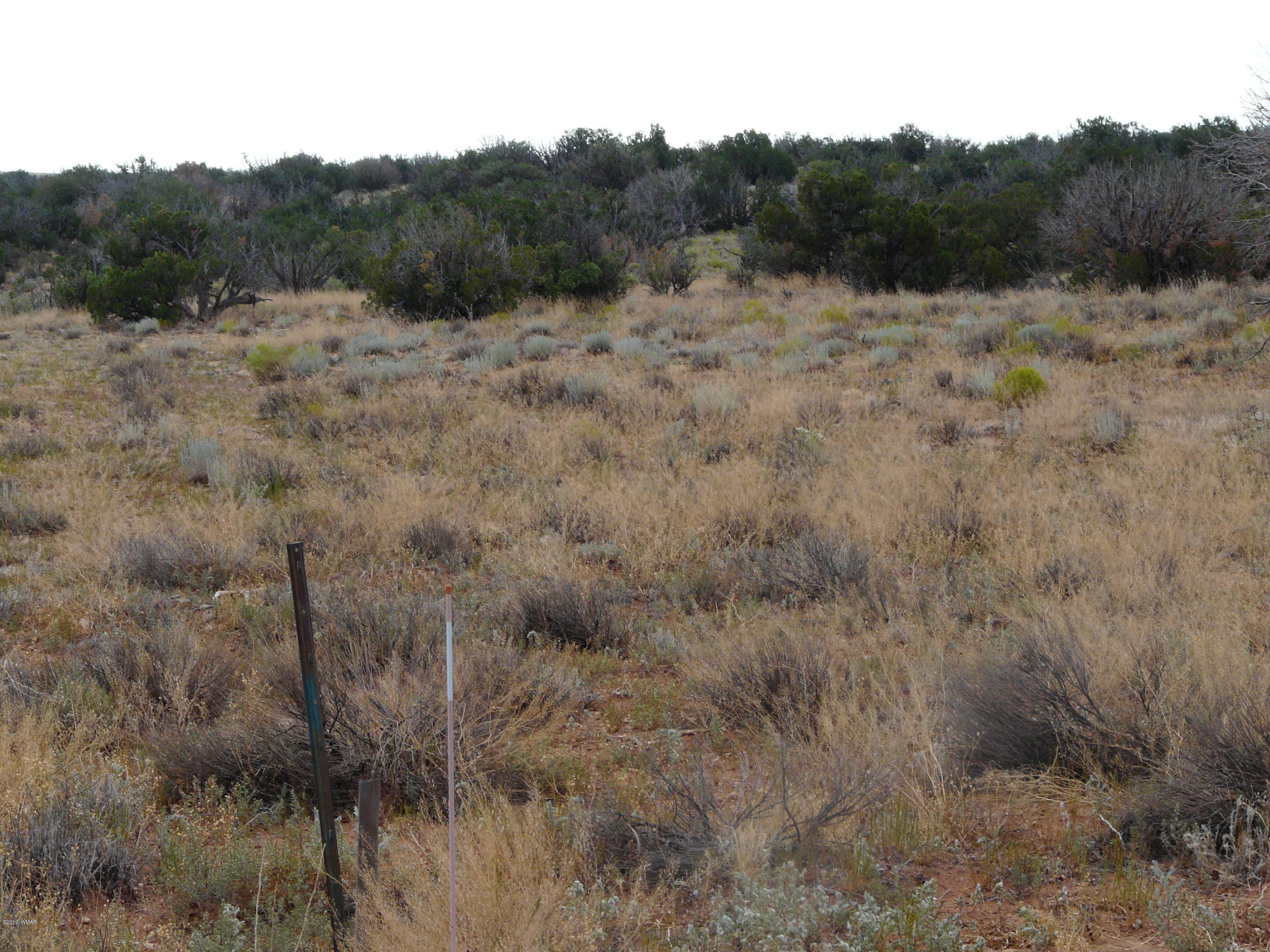 Lot 252 Chevelon Canyon Ranch, Unit 2 Heber, AZ 85928 - Photo 9 of 14