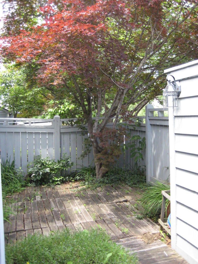 2441 South Clearing Road Salem, VA 24153 - Photo 2 of 13 Courtyard