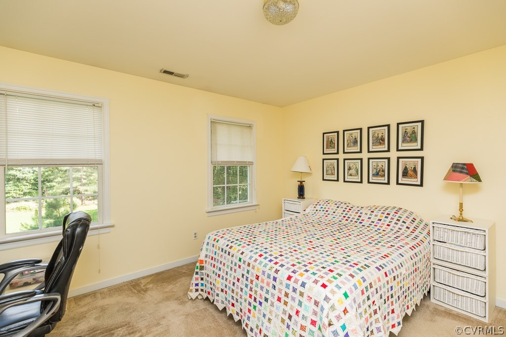 247 Spring Woods Road Montpelier, VA 23192 - Photo 21 of 29 Gallery Image 21
