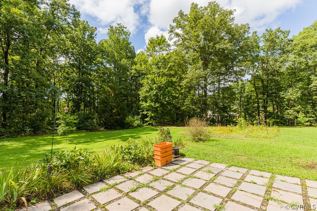 247 Spring Woods Road Montpelier, VA 23192 - Photo 25 of 29 Gallery Image 25