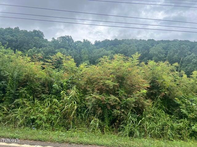 Tbd Rheatown Road Chuckey, TN 37641 - Photo 3 of 6 20240725201941430369000000-o