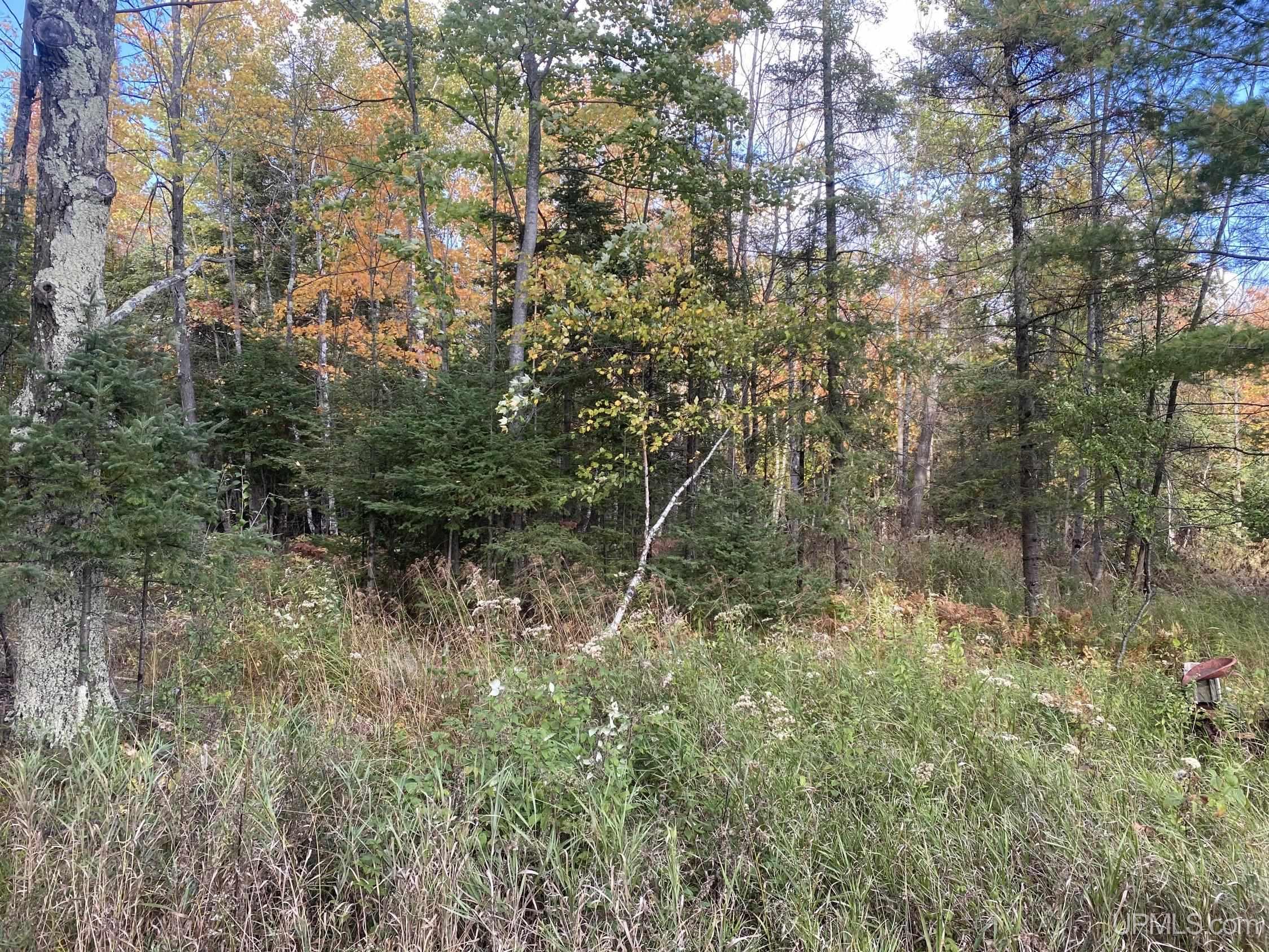 2926 Miller Road Homestead, WI 54121 - Photo 23 of 24