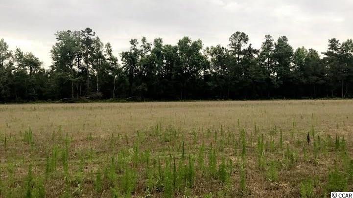 Lot 4 St-johns Road Aynor, SC 29544 - Photo 3 of 6 Gallery Image 3