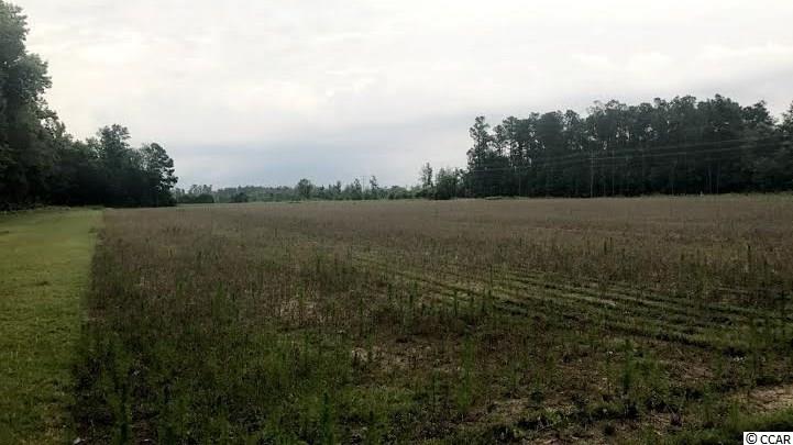 Lot 4 St-johns Road Aynor, SC 29544 - Photo 6 of 6 Gallery Image 6