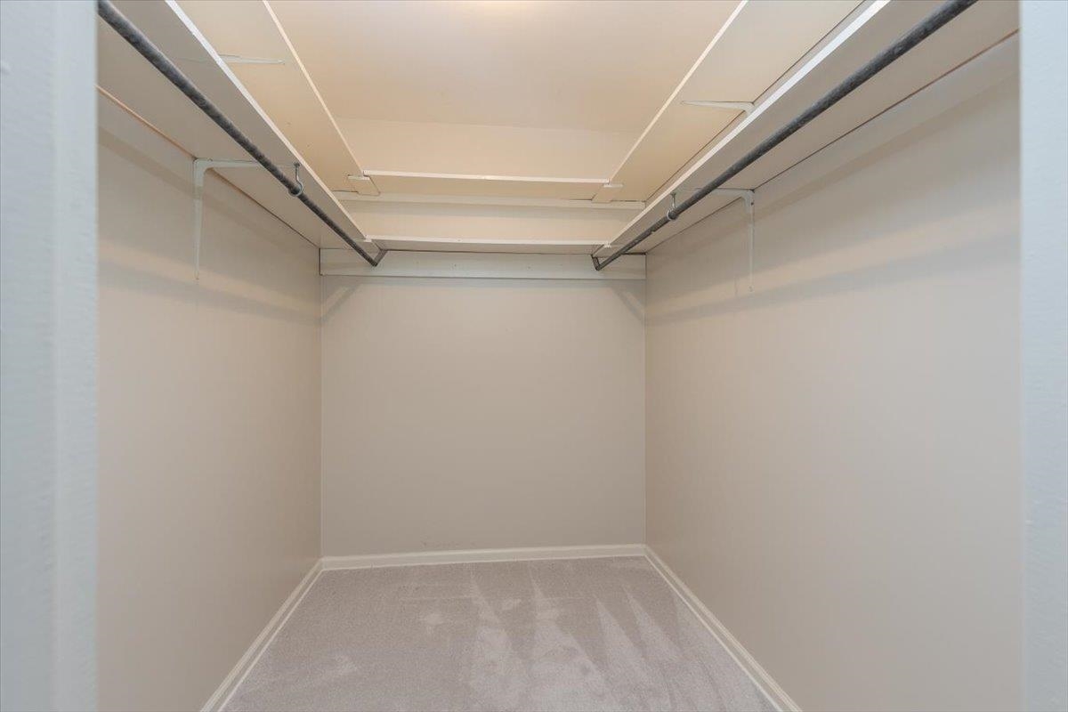 670 Peterson Lake Road Collierville, TN 38017 - Photo 24 of 37 Spacious walk-in closet featuring light gray carpeting, neutral wall color, and built-in shelving with hanging rods