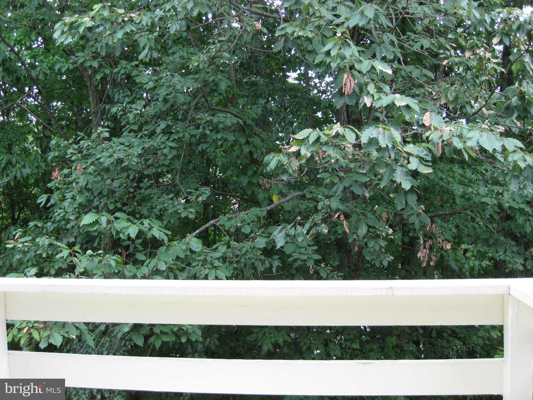 1941 Belmont Ridge Court Reston, VA 20191 - Photo 19 of 26 view from deck