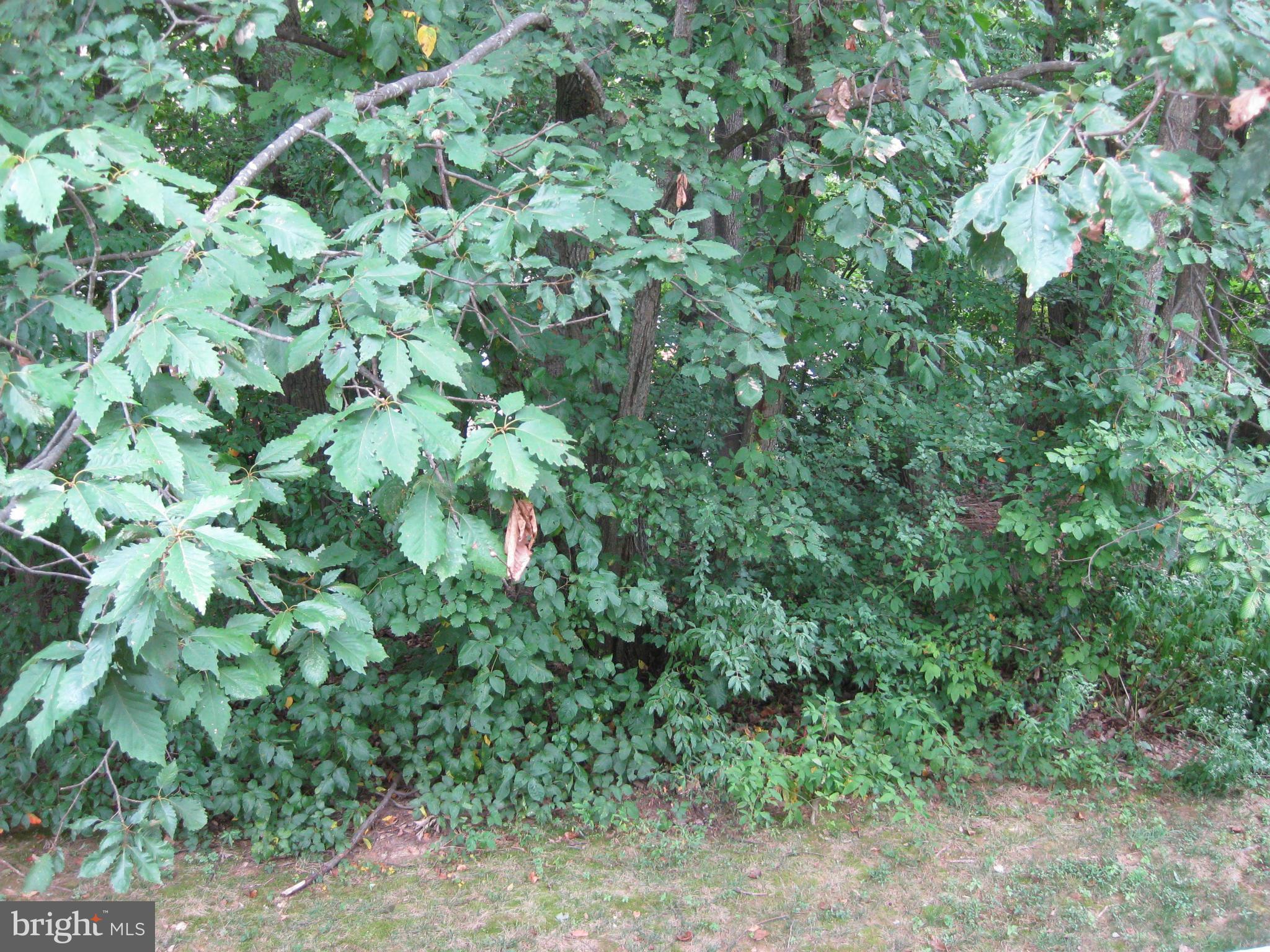 1941 Belmont Ridge Court Reston, VA 20191 - Photo 20 of 26 view