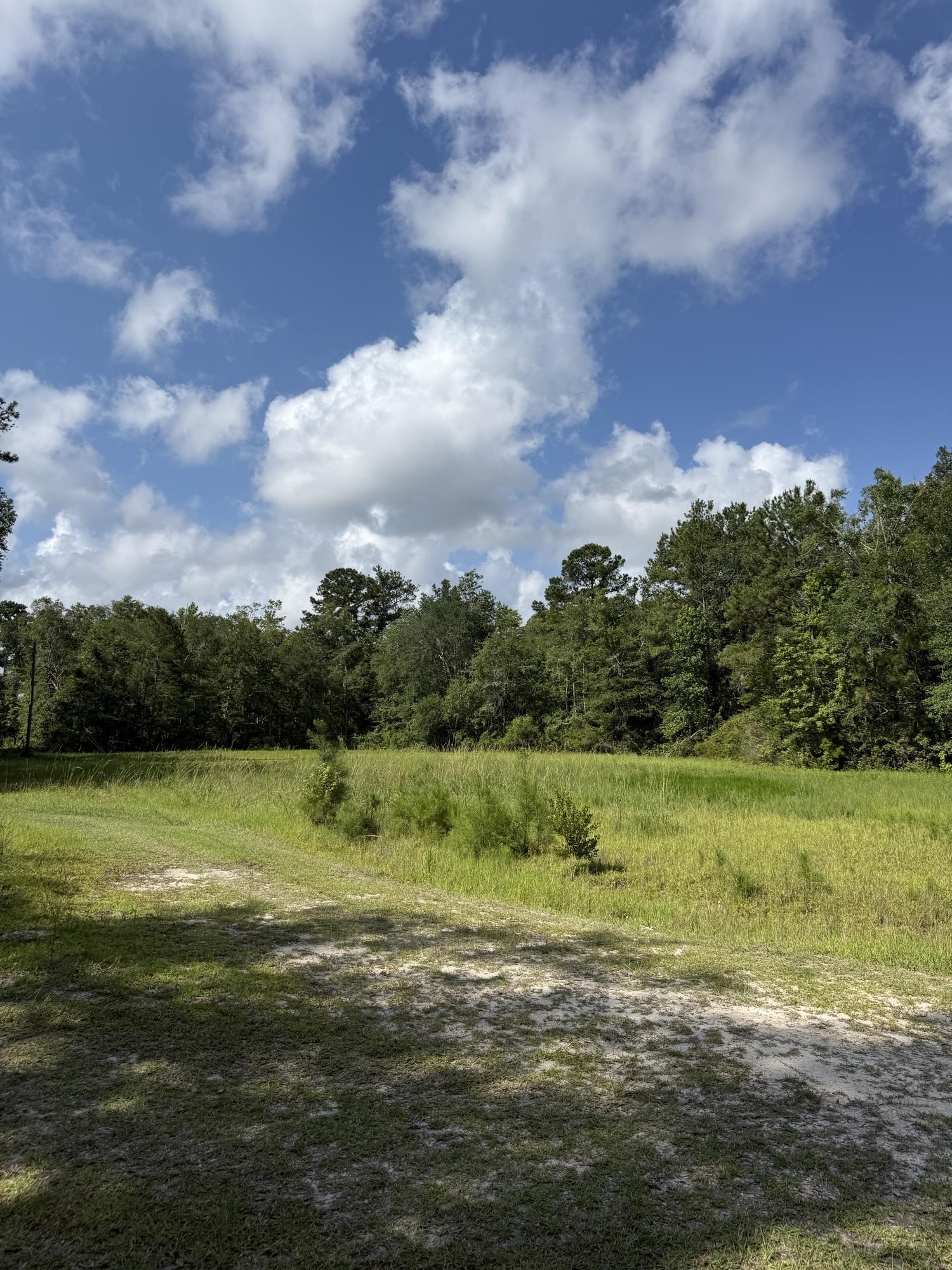 Xxx Neely Road Monticello, FL 32344 - Photo 37 of 37