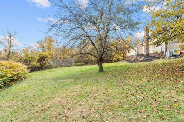 a view of yard with tree