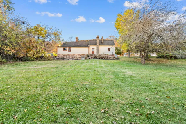 a view of a large garden with plants and large trees