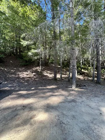 a view of outdoor space with lots of trees