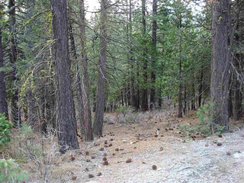 595 C Road Clio, CA 96106 - Photo 7 of 12