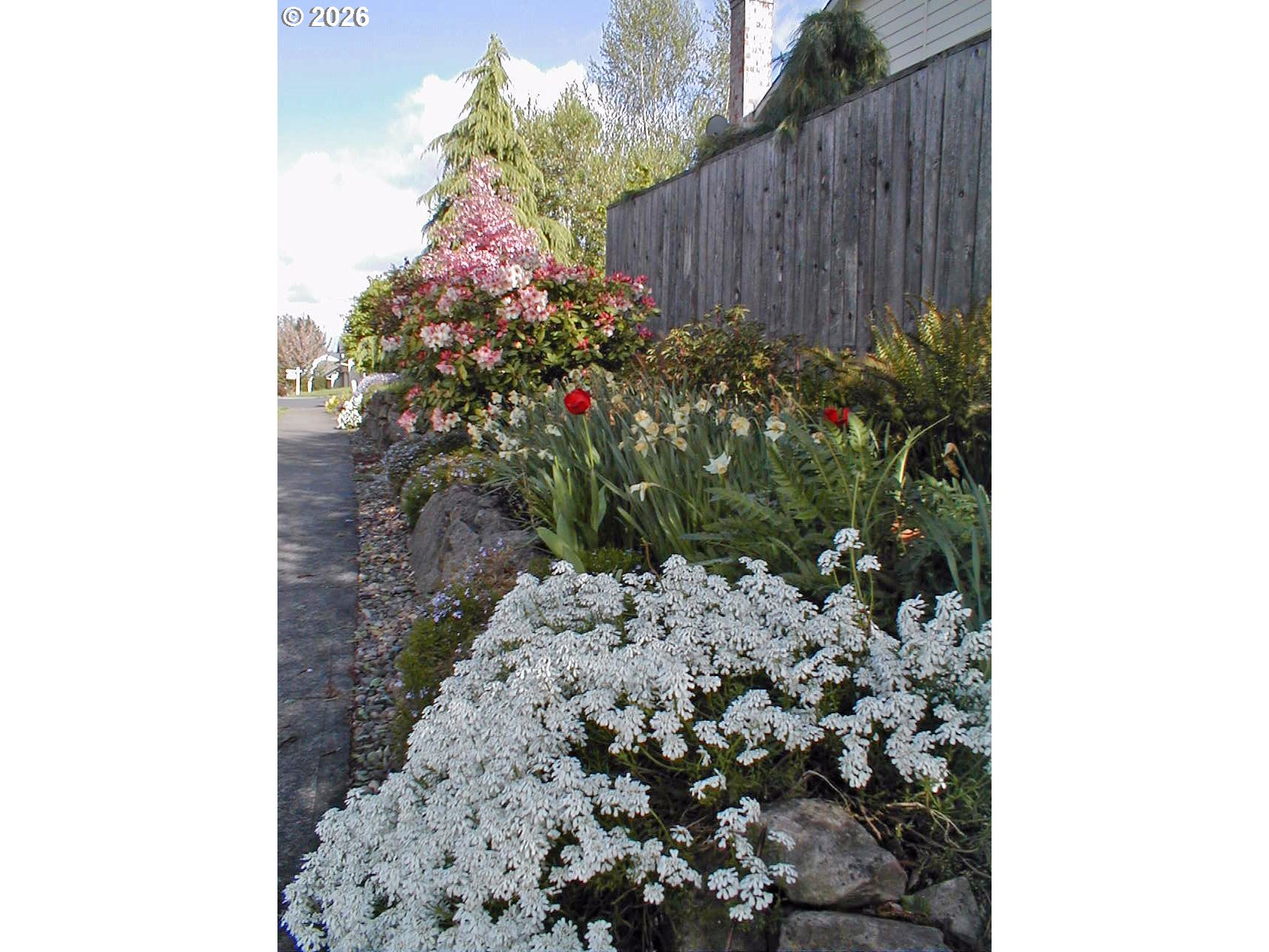 11601 Southwest 129th Place Portland, OR 97223 - Photo 21 of 22