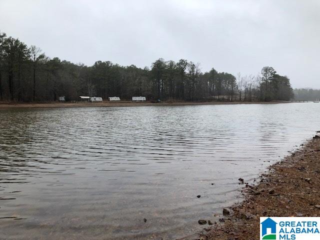 0 Lakeside Lane, Unit 31 Alpine, AL 35014 - Photo 22 of 42