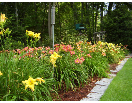 206 River Road Andover, MA 01810 - Photo 28 of 28 Gallery Image 28