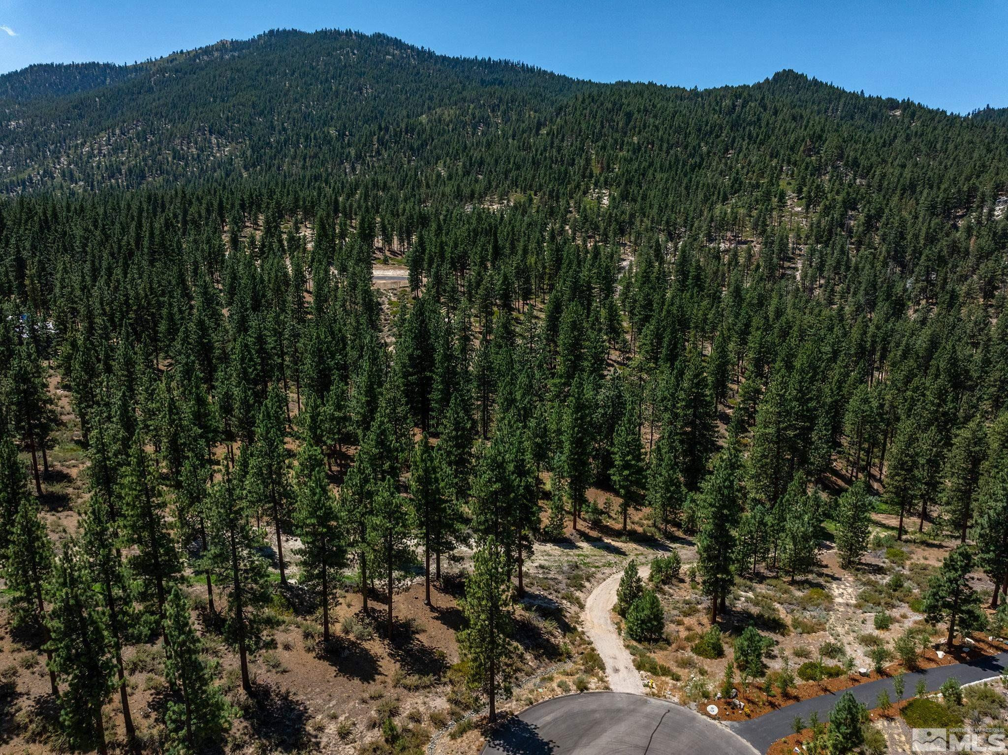 121 Chamberlain Court, Unit 185 Carson City, NV 89705 - Photo 2 of 15 a view of a city with lush green forest