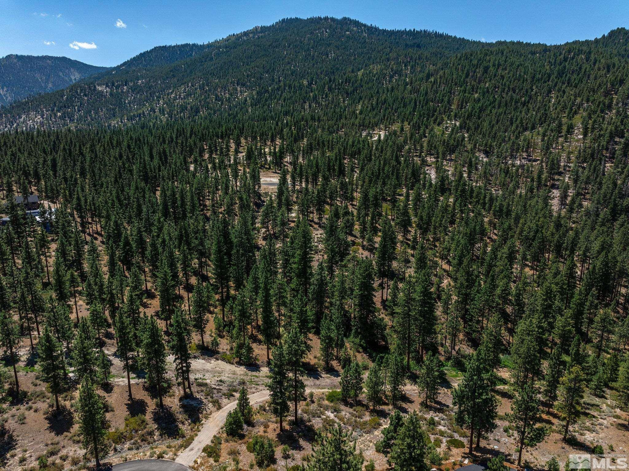 121 Chamberlain Court, Unit 185 Carson City, NV 89705 - Photo 3 of 15 a view of a city with lush green forest