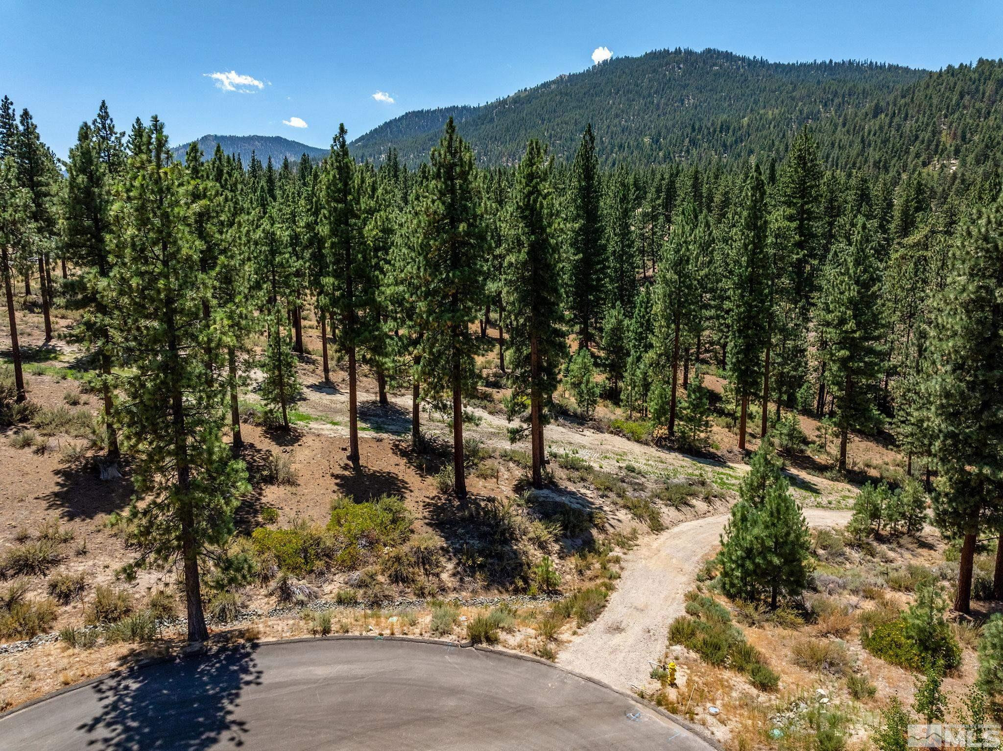 121 Chamberlain Court, Unit 185 Carson City, NV 89705 - Photo 9 of 15 a view of a forest with a tree