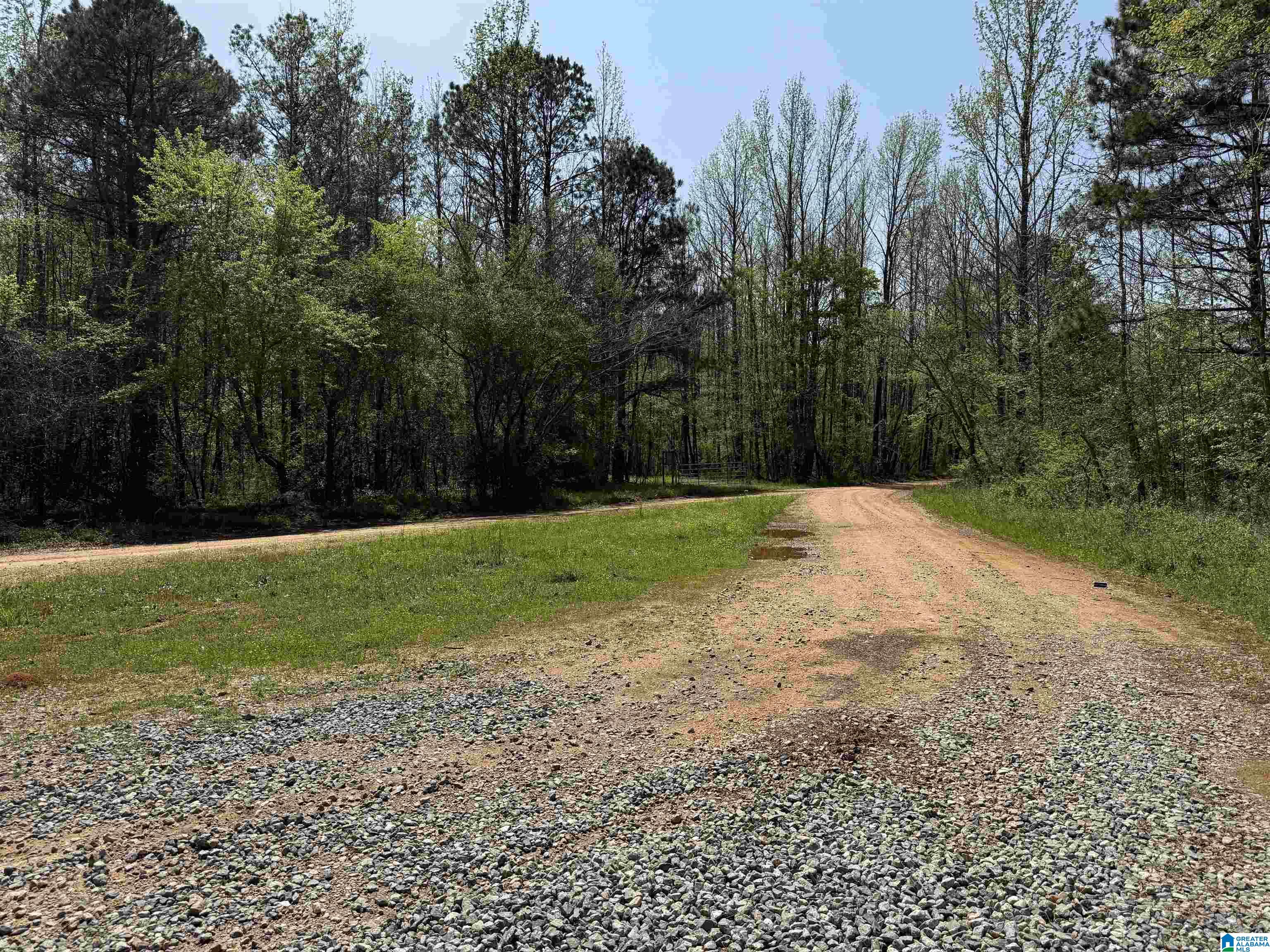 1781 Riverview Beach Road, Unit 1781 Moundville, AL 35474 - Photo 6 of 27