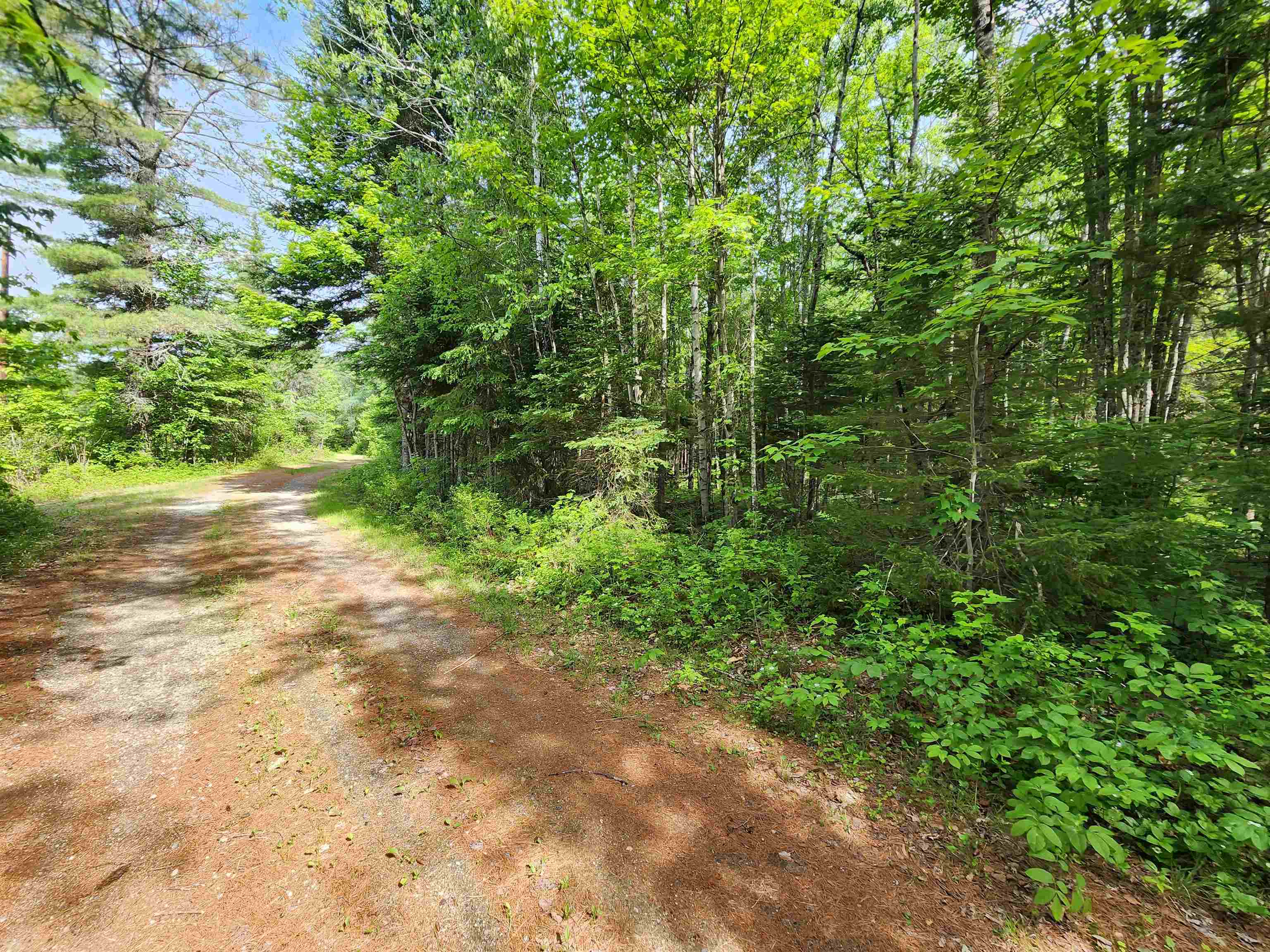 0 Boise Cascade Road Dummer, NH 03588 - Photo 12 of 17