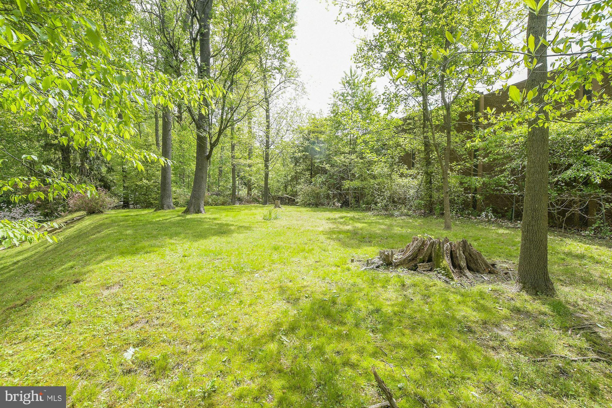 2121 Countryside Drive Silver Spring, MD 20905 - Photo 31 of 32 Gallery Image 31