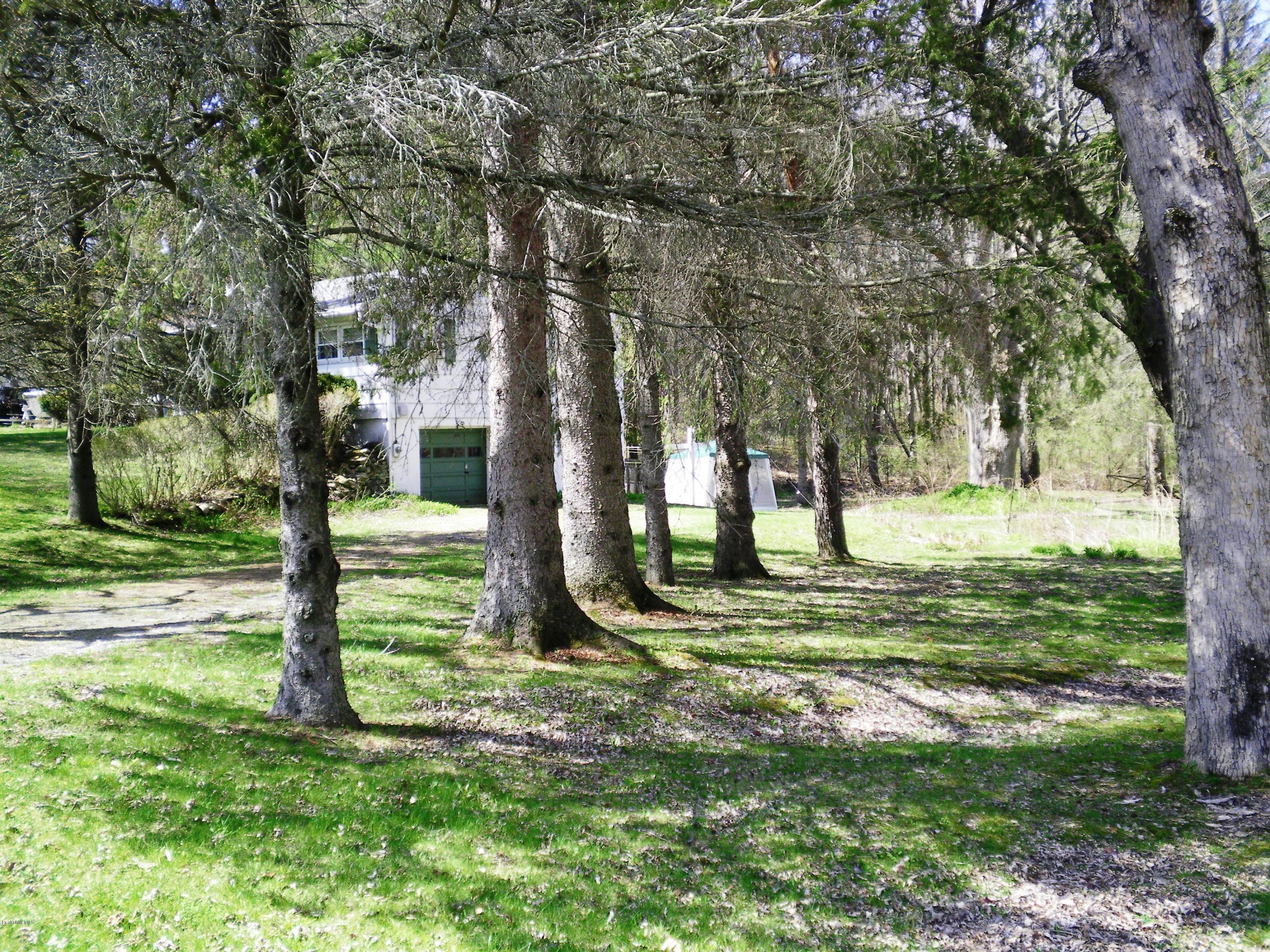 79 Orchard Road Dalton, MA 01226 - Photo 4 of 22 Side Yard