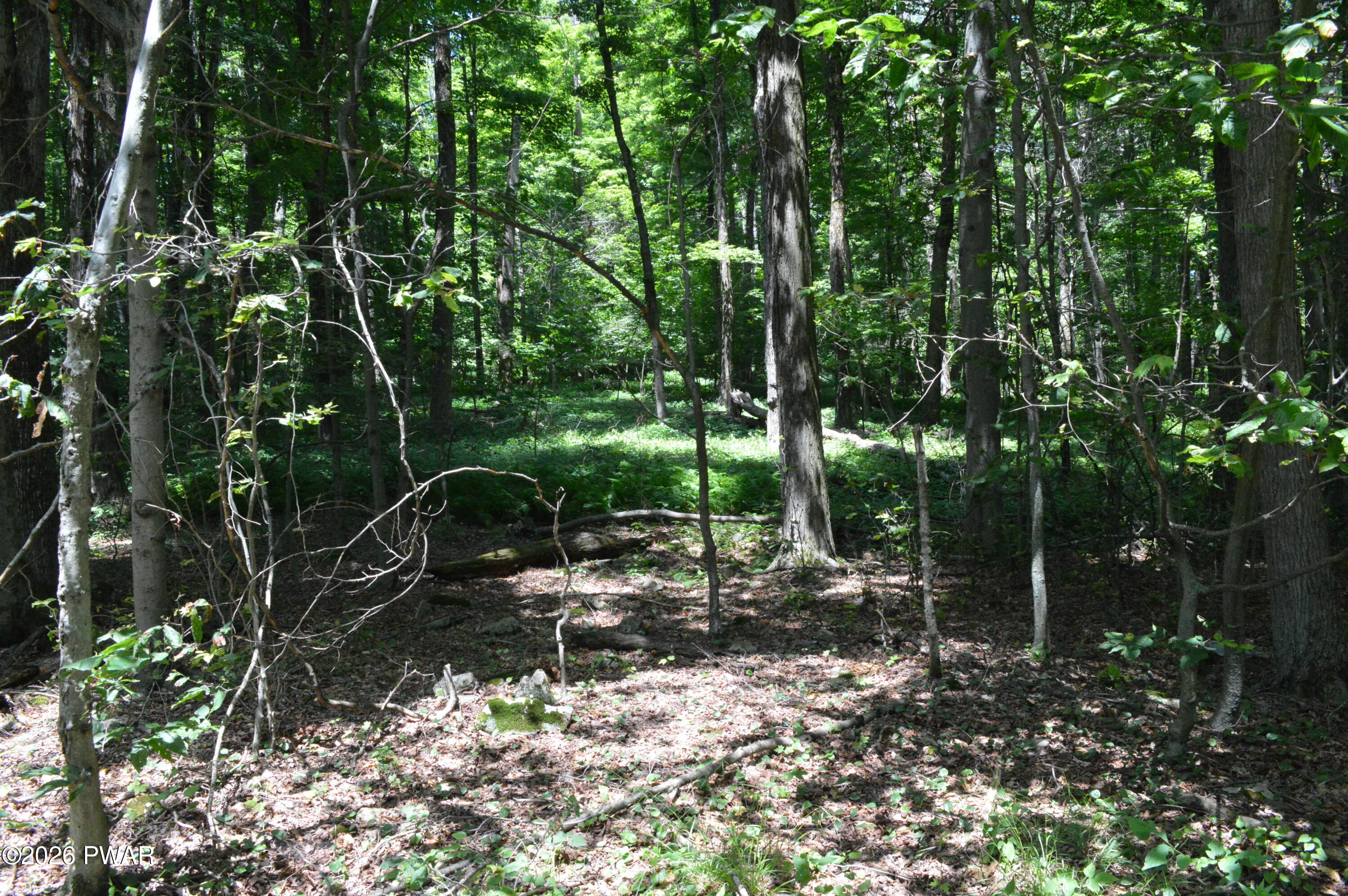 Akers Road Newfoundland, PA 18445 - Photo 1 of 5 Gallery Image 1
